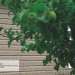 Сайдинг Ю-Пласт TIMBERBLOCK Пихта (Тимберблок) Cахалинская купить в Подольске