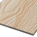 Фиброцементные панели FCSPRO Decor Wood Лиственница купить в Подольске